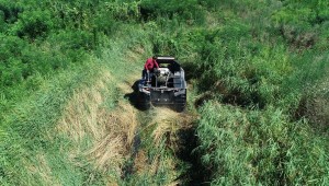 VEKTÖRLE MÜCADELEYE ULUSLARARASI EĞİTİM