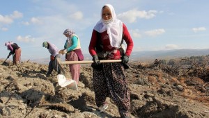 Yangında zarar gören 7 hektar alan kadınların elinde yeşerecek