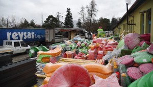 42 parka yeni çocuk oyun alanı kuruluyor