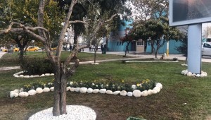 Akhisar Otogar Önündeki Atıl Alan Hayat Buldu