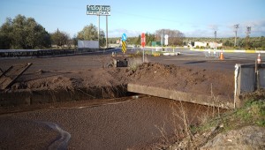 AYVALIK'TA ÇEVRE FELAKETİ