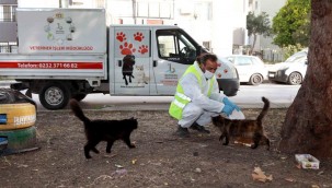BAYRAKLI BELEDİYESİ, SOKAĞA ÇIKMA KISITLAMASINDA DA CAN DOSTLARI UNUTMADI