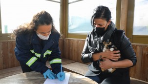 Bucalılar pandemi sürecinde de can dostlarımıza şefkat elini uzattı