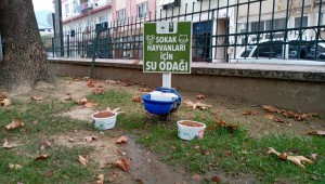 Can Dostlar Emin Ellerde