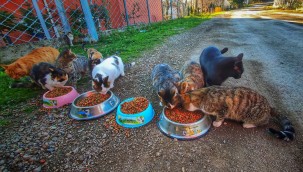 CAN DOSTLAR İÇİN SEFERBER OLDULAR