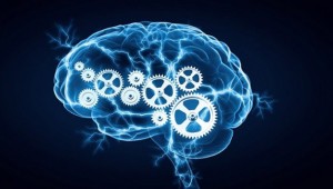 Japonya'da yapay zeka eş bulmaya yardım edecek