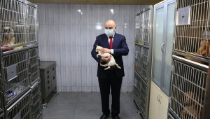 KEÇİÖREN'DEKİ KÖPEKLER TEDAVİLERİ TAMAMLANINCA SAHİPLENDİRİLECEK