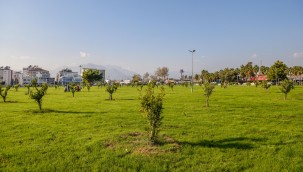 Kepez moloz alanı yemyeşil bir bahçeye dönüştürdü