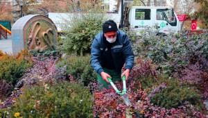 KUĞULU'DA KIŞ RENKLERİ 