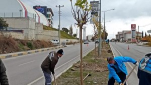 Maden Şehitleri Caddesi Ağaçlandırılıyor