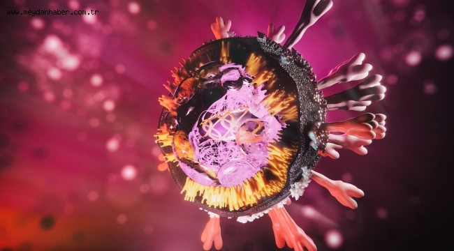 Mutasyon koronavirüs tehlikesini ne yönde etkileyecek?