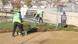 Otogar Köprülü Kavşağı'na yüzlerce ağaç dikilecek