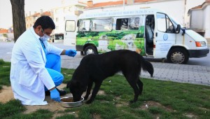 'Siz evinizde kalın, can dostlarımız bize emanet!' 