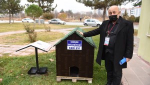 Sokağın hayvanına başkan sahip çıktı