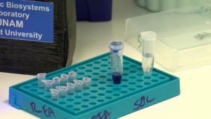 Türk bilim insanlarından koronavirüse karşı burun spreyi