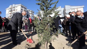 Yenimahalle'de yeşile yatırım sürüyor