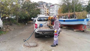 19 İLÇEDE HAŞERELERLE SIKI MÜCADELE