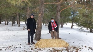 AKDAĞ TABİAT PARKINDAKİ HAYVANLARA YEM BIRAKILDI