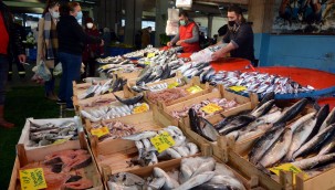 Aliağa Pazarında Balık Çeşitleri Tezgahları Süslüyor