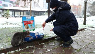 Bağcılar Belediyesi, sokak hayvanları için seferber oldu