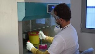 Barış Pınarında PCR Laboratuvarı Kuruldu