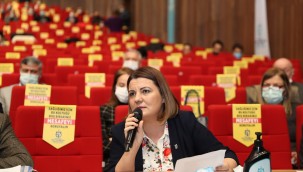 Başkan Hürriyet, İzmitlilerin sorunlarını  Büyükşehir Meclisinde gündeme getirdi