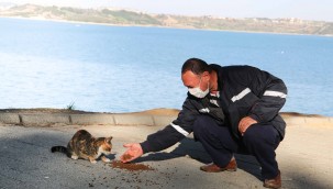 Büyükşehir ihtiyaçlar ve hizmetler için her kulvarda çalışıyor