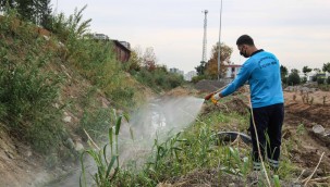 Büyükşehir sivrisinek ve haşereye karşı ilaçlama yapıyor