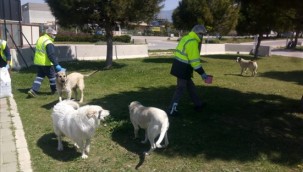 ​Can dostlar unutulmadı