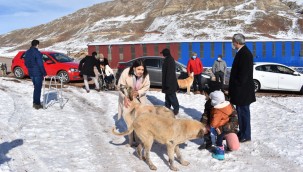 CAN DOSTLARIMIZ İÇİN KAMU KURUMLARINDAN DESTEK…