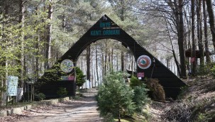 DENİZE EN YAKIN ORMAN TURİZME KAZANDIRILIYOR