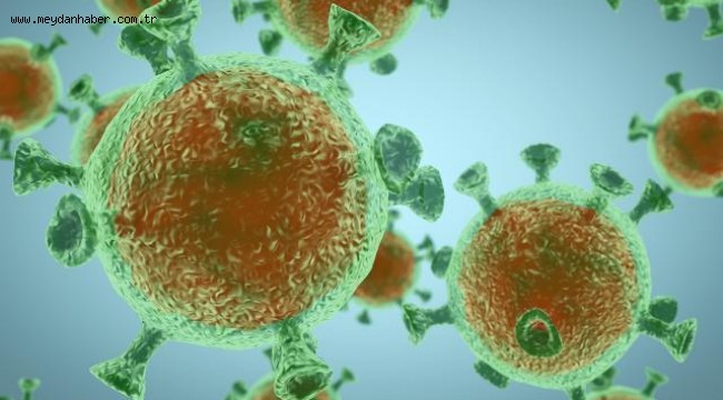 Dünya genelinde koronavirüs tespit edilen kişi sayısı 94 milyonu geçti