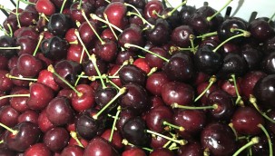 Gıda Güvenliği için dev adım 'Kullandığımız Pestisitleri Biliyoruz' projesi