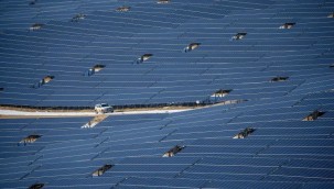 Güneş enerjisinin 2021'de 2 katına çıkması bekleniyor