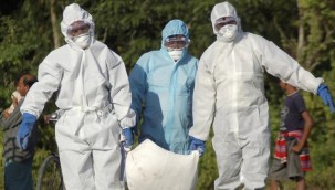 Hindistan'da kuş gribi paniği: Kümes hayvanları itlaf ediliyor