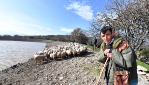 İçme suyu göletleri geldi, hayvancılık yeniden canlandı