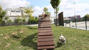 KÜÇÜKÇEKMECE'DE KÖPEKLERE ÖZEL PATİ PARK