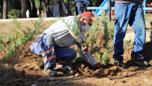 Menderes Yeşile Bürünüyor