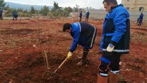 Muğla Büyükşehir'den "Hortikültürel Terapi"