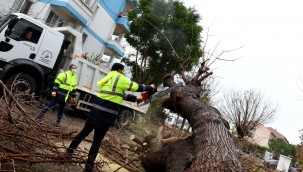 Muratpaşa'da mesai gece yarısı başladı