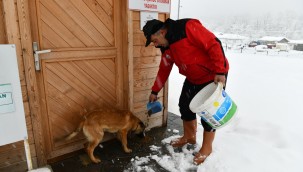 Mustafakemalpaşa'da can dostları için seferberlik