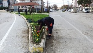 SARAY BELEDİYESİ, MEVSİMLİK ÇİÇEK EKİMİNE BAŞLADI