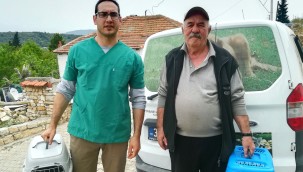 SOKAK CANLARI FOÇA'DA EMİN ELLERDE