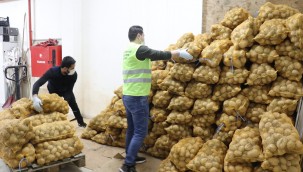 30 TON PATATES İHTİYAÇ SAHİPLERİNE DAĞITILMAYA BAŞLADI