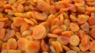 6 aylık kuru kayısı ihracatı 162 milyon dolara ulaştı