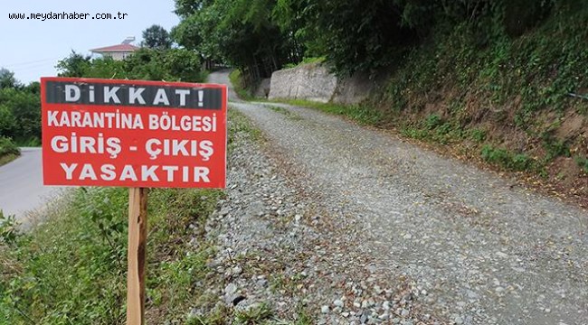 Adıyaman'da 48 eve karantina kararı