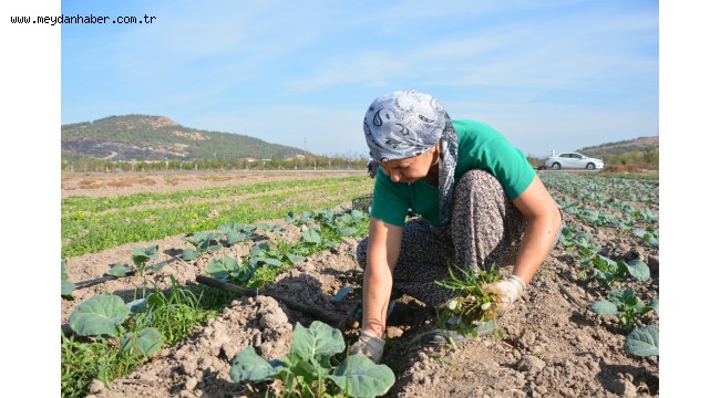 "Aliağa Toprak ve Tarım Atlası" İçin Çalışmalar Başladı