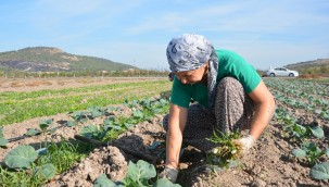"Aliağa Toprak ve Tarım Atlası" İçin Çalışmalar Başladı