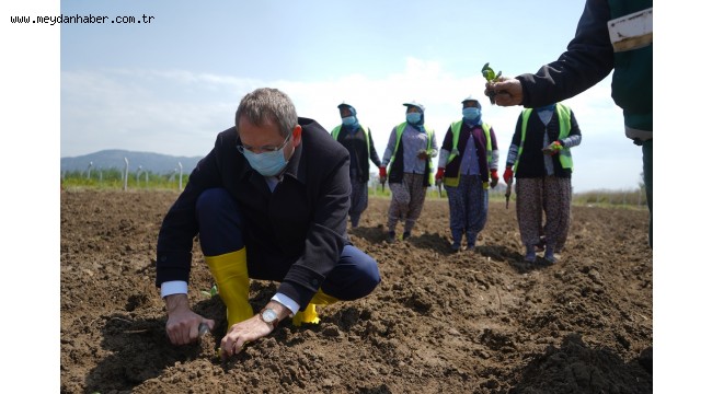 AYVALIK KOOPERATİFİ BİR YAŞINDA