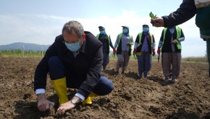 AYVALIK KOOPERATİFİ BİR YAŞINDA